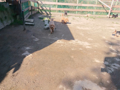 f:id:roukenhome-ann:20190404202616j:plain