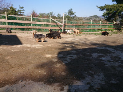 f:id:roukenhome-ann:20190404202716j:plain