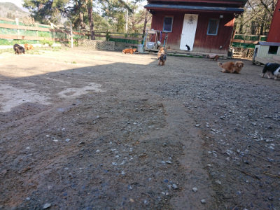 f:id:roukenhome-ann:20190404202722j:plain