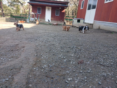 f:id:roukenhome-ann:20190404202730j:plain