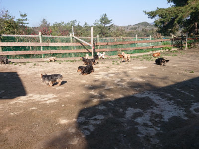 f:id:roukenhome-ann:20190404202748j:plain