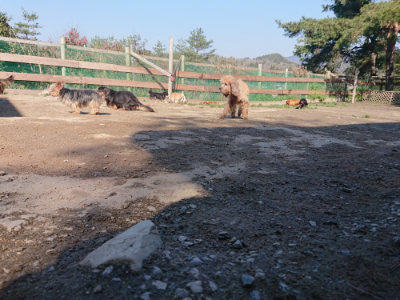 f:id:roukenhome-ann:20190404202754j:plain