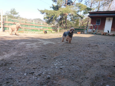 f:id:roukenhome-ann:20190404202824j:plain
