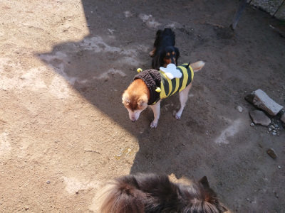 f:id:roukenhome-ann:20190404202839j:plain