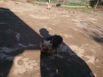f:id:roukenhome-ann:20190404203217j:plain