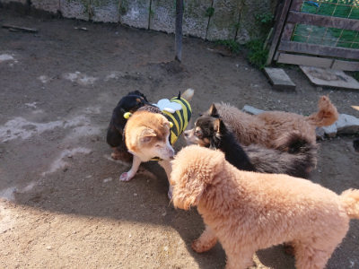 f:id:roukenhome-ann:20190404203223j:plain
