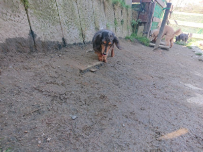 f:id:roukenhome-ann:20190404203238j:plain