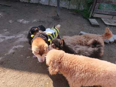 f:id:roukenhome-ann:20190404203245j:plain
