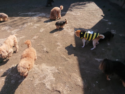 f:id:roukenhome-ann:20190404203252j:plain