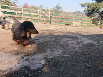 f:id:roukenhome-ann:20190404203259j:plain