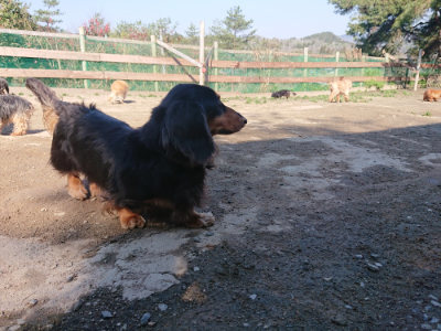 f:id:roukenhome-ann:20190404203309j:plain