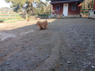 f:id:roukenhome-ann:20190404203335j:plain