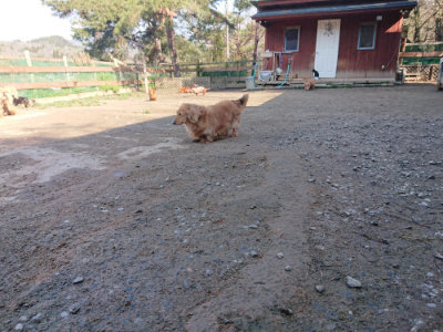 f:id:roukenhome-ann:20190404203342j:plain