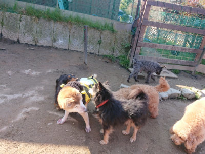 f:id:roukenhome-ann:20190404203400j:plain