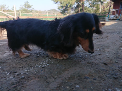 f:id:roukenhome-ann:20190404203413j:plain