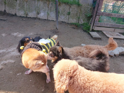 f:id:roukenhome-ann:20190404203436j:plain