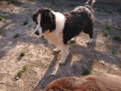 f:id:roukenhome-ann:20190405071558j:plain