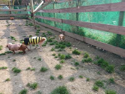 f:id:roukenhome-ann:20190405071609j:plain