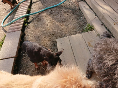 f:id:roukenhome-ann:20190405071621j:plain