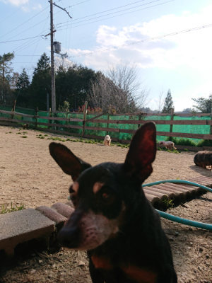 f:id:roukenhome-ann:20190405071656j:plain