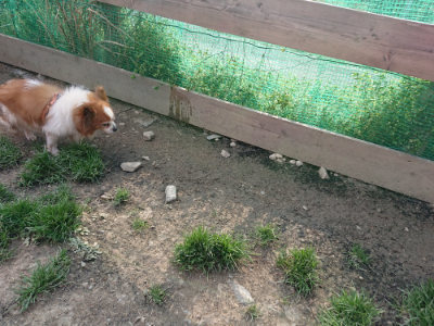 f:id:roukenhome-ann:20190405071713j:plain