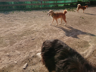f:id:roukenhome-ann:20190405071753j:plain