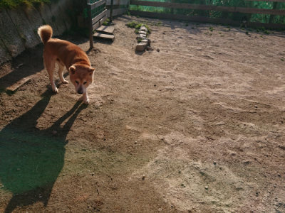 f:id:roukenhome-ann:20190405071758j:plain