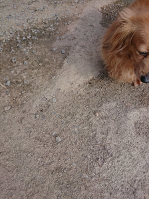 f:id:roukenhome-ann:20190405071808j:plain