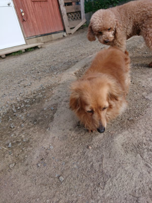 f:id:roukenhome-ann:20190405071814j:plain