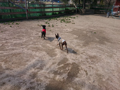 f:id:roukenhome-ann:20190405071830j:plain