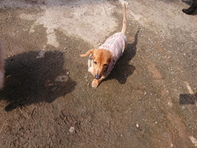 f:id:roukenhome-ann:20190405071836j:plain