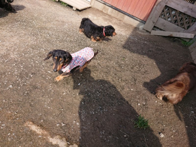 f:id:roukenhome-ann:20190405071849j:plain