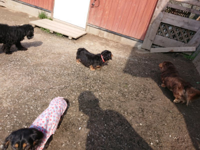 f:id:roukenhome-ann:20190405071900j:plain
