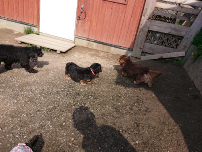 f:id:roukenhome-ann:20190405071907j:plain