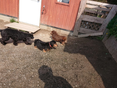 f:id:roukenhome-ann:20190405071914j:plain