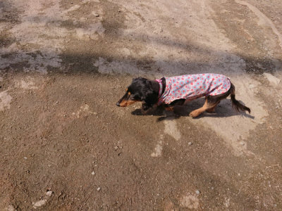 f:id:roukenhome-ann:20190405071920j:plain