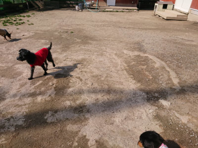 f:id:roukenhome-ann:20190405071927j:plain