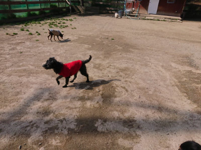 f:id:roukenhome-ann:20190405071933j:plain