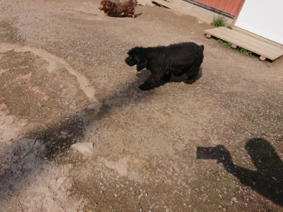 f:id:roukenhome-ann:20190405071945j:plain