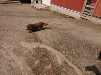 f:id:roukenhome-ann:20190405071958j:plain