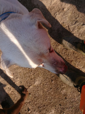 f:id:roukenhome-ann:20190405072005j:plain