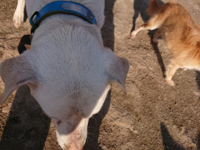 f:id:roukenhome-ann:20190405072022j:plain