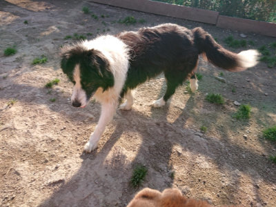 f:id:roukenhome-ann:20190405072110j:plain