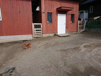 f:id:roukenhome-ann:20190405072345j:plain