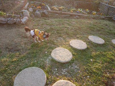f:id:roukenhome-ann:20190405072405j:plain