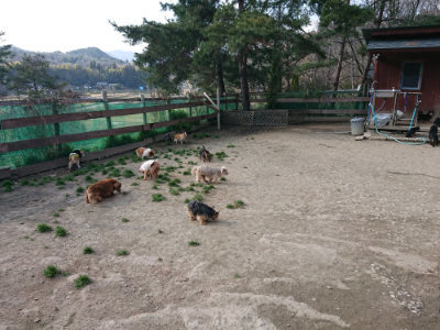 f:id:roukenhome-ann:20190405072438j:plain