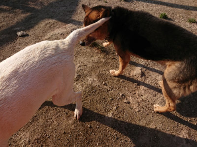 f:id:roukenhome-ann:20190405072549j:plain