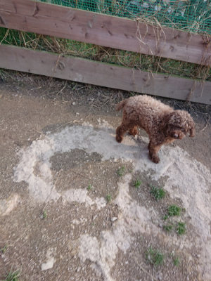 f:id:roukenhome-ann:20190405072621j:plain