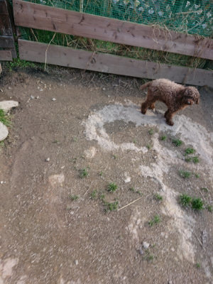 f:id:roukenhome-ann:20190405072653j:plain
