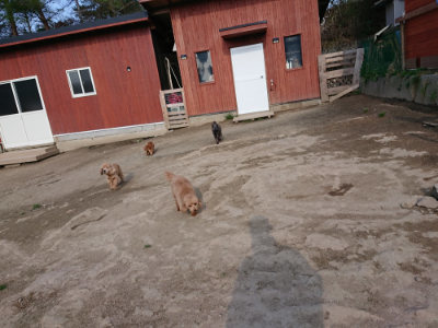 f:id:roukenhome-ann:20190405072706j:plain